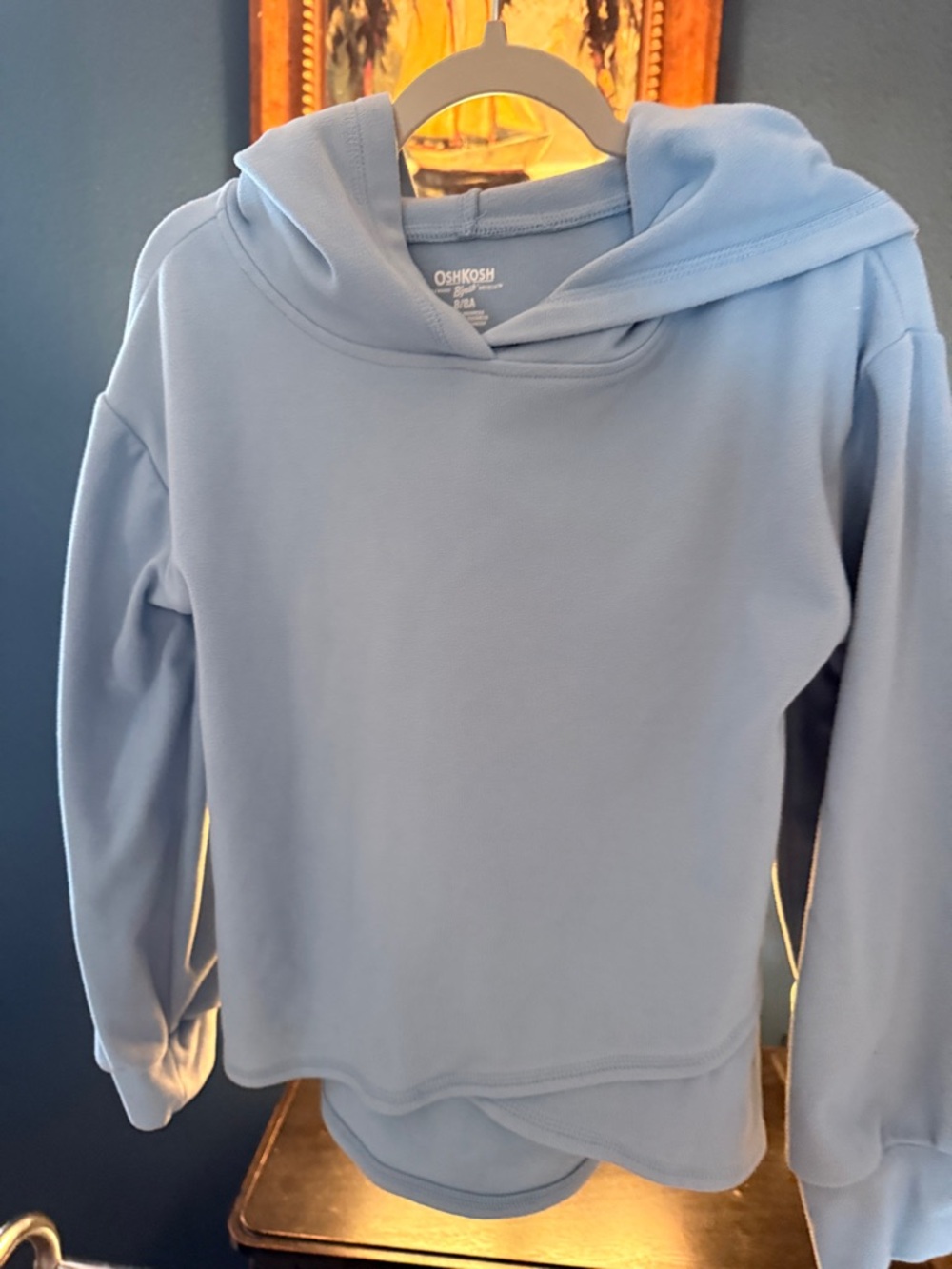 OshKosh B'gosh Light Blue Hooded Sweatshirt